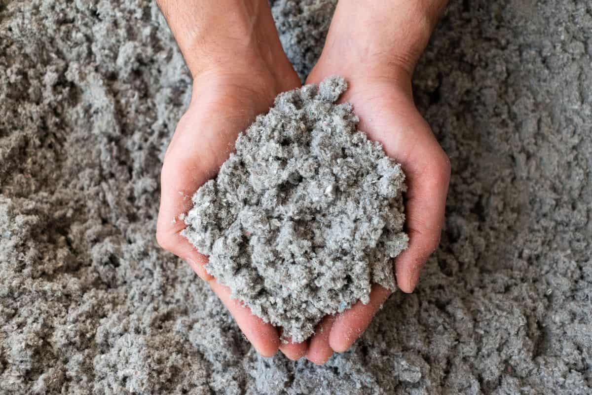 fibra di cellulosa tenuta in mano
