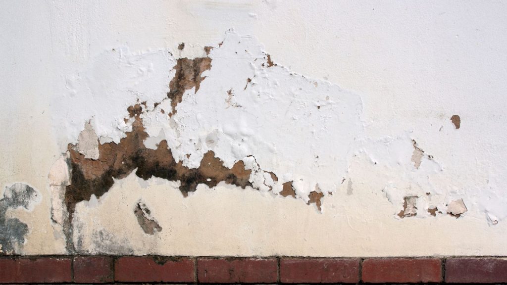 umidità di risalita